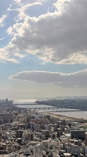 2019天堂在线中文字幕-2019年天堂在线中文字幕，网络文化的独特风景与影响