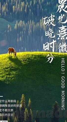 成人亚洲视频-成人亚洲视频，网络文化中的一面镜子