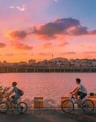 该看糖心vlog了-甜蜜视线，糖心Vlog的魅力之旅