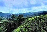 麻豆91色在线影院-麻豆91，数字时代的视听盛宴与边界探讨