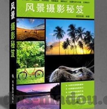 麻豆app下载网址-良馥应用，解锁多样化文化体验的绿色通道