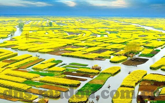 麻豆系列国产剧情av-麻豆系列国产剧情主要AV特色与观看警示