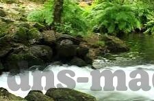 日韩一区二区三区在线观看-探索日韩影视文化的多元视角，一区、二区、三区的在线观看体验