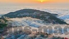 糖心app 1080p 下载-探寻高清影像的极致，1080p视频下载之旅